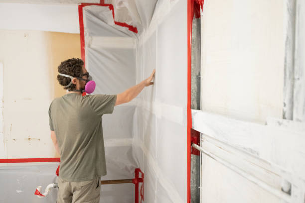 Best Mold Removal for HVAC Installations  in Davisboro, GA