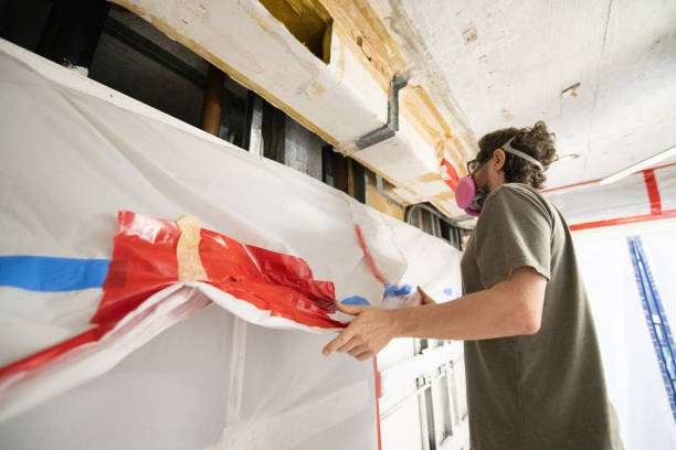 Best Mold Prevention Services  in Davisboro, GA