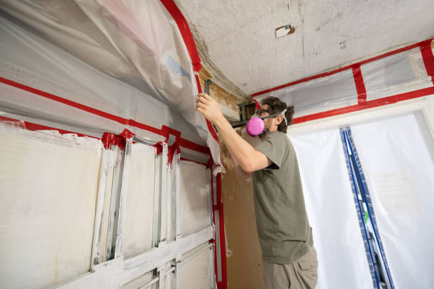 Best Commercial Mold Inspection  in Davisboro, GA